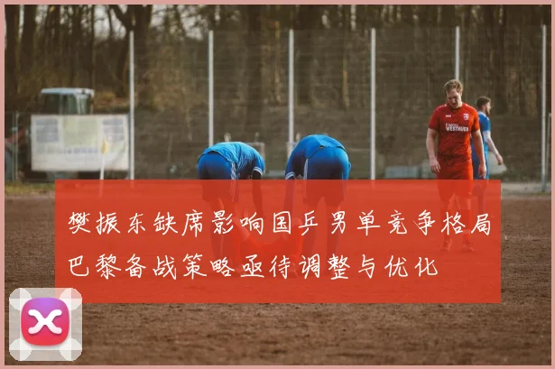 樊振东缺席影响国乒男单竞争格局巴黎备战策略亟待调整与优化